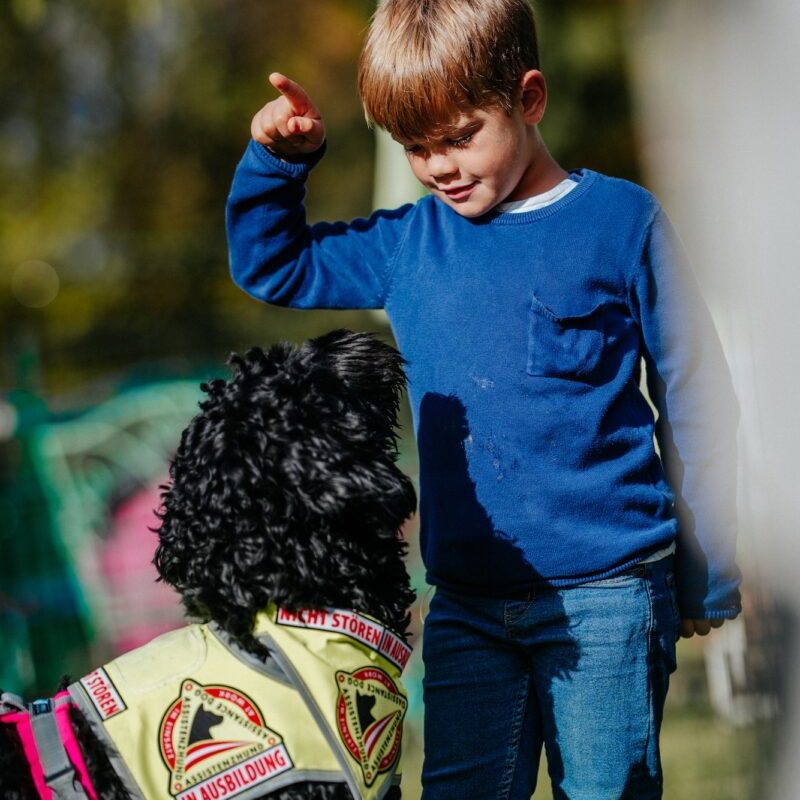 Ein Junge in blauem Pullover zeigt auf etwas, während ein Hund mit einer ‚In Ausbildung‘-Weste neben ihm steht – ein tierisch schöner Helfer für Theodor.